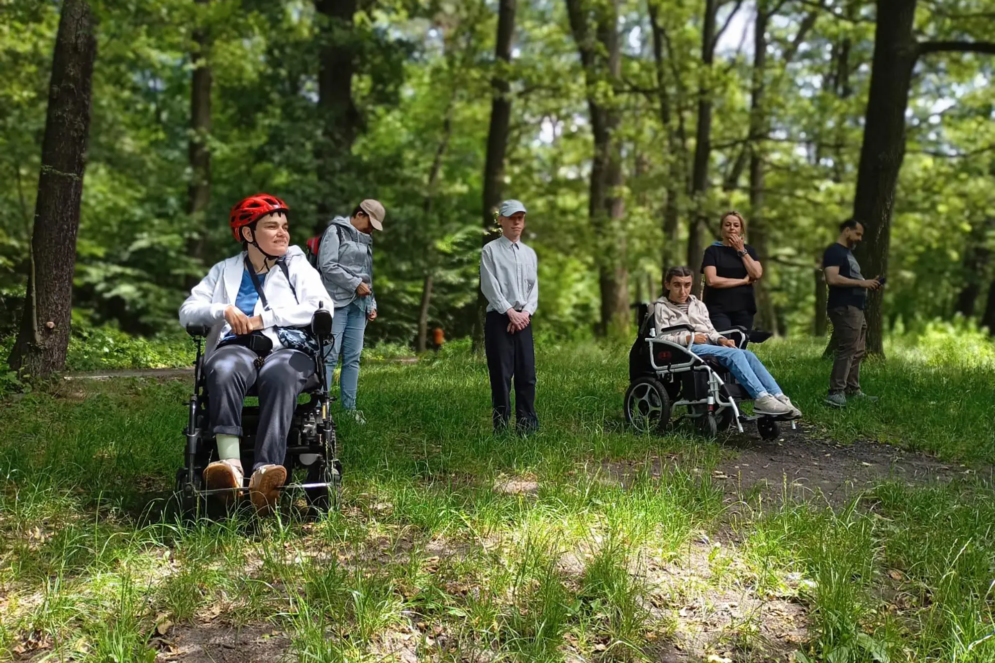 background for the entire section showing people in the forest