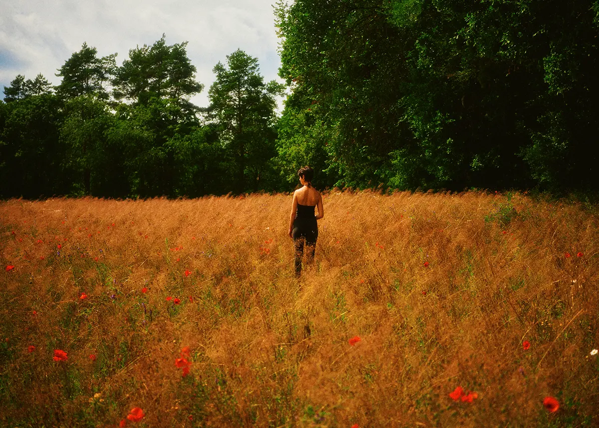 A photograph of a meadow symbolizing nature